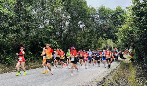 Nutrida participación compite en el Maratón de Descubrimiento 204 de Quang Binh ảnh 1 Nutrida participación compite en el Maratón de Descubrimiento 204 de Quang Binh ảnh 1