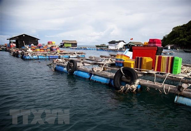 Vietnam por desarrollar de manera sostenible sector acuático ảnh 2 Vietnam por desarrollar de manera sostenible sector acuático ảnh 2