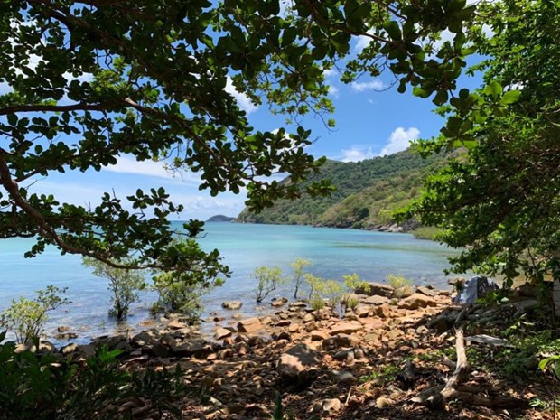Parque Nacional de Con Dao implementa proyecto de ecoturismo ảnh 1 Parque Nacional de Con Dao implementa proyecto de ecoturismo ảnh 1