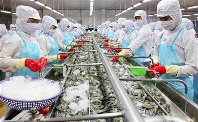 Vietnam por desarrollar de manera sostenible sector acuático ảnh 1 Vietnam por desarrollar de manera sostenible sector acuático ảnh 1
