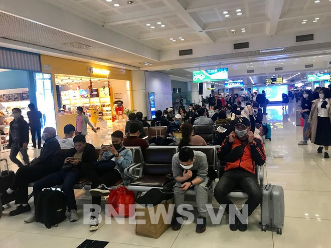 Aeropuerto vietnamita de Noi Bai recibe a más de 270 retornados ảnh 1