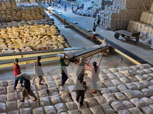Vietnam puede abastecerse de alimentos en cualquier situación de emergencia ảnh 1 Vietnam puede abastecerse de alimentos en cualquier situación de emergencia ảnh 1