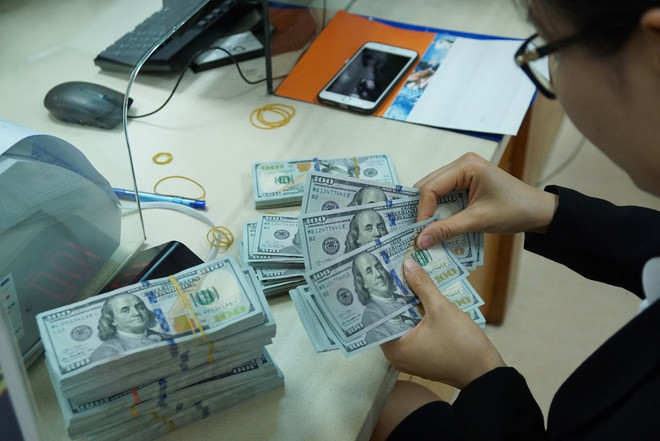 Banco Estatal de Vietnam gestiona estabilidad del mercado de divisas ảnh 1 Banco Estatal de Vietnam gestiona estabilidad del mercado de divisas ảnh 1