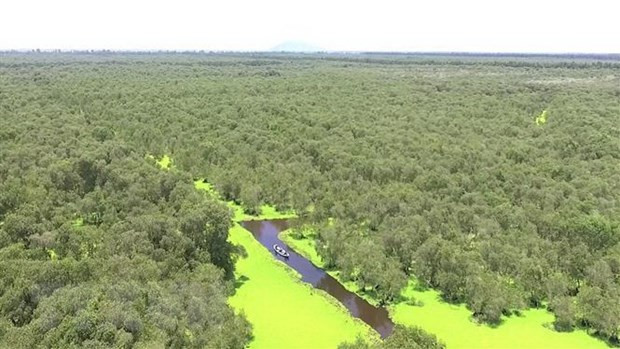 Día Mundial del Medio Ambiente 2020 se centrará en la biodiversidad ảnh 1 Día Mundial del Medio Ambiente 2020 se centrará en la biodiversidad ảnh 1
