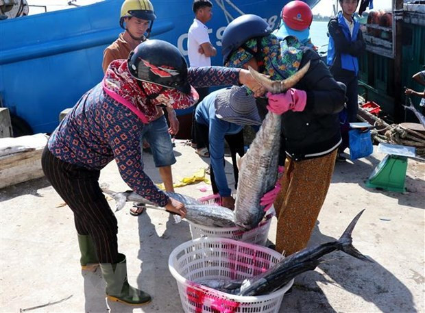 Provincia costera vietnamita por intensificar lucha contra pesca ilegal ảnh 1 Provincia costera vietnamita por intensificar lucha contra pesca ilegal ảnh 1