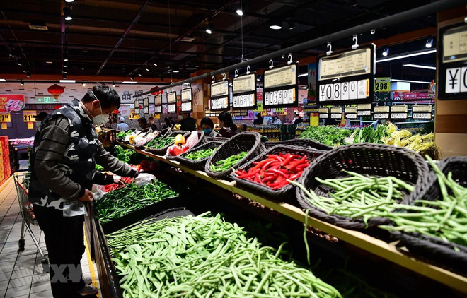 Crecen exportaciones de productos agrícolas de Vietnam a Japón ảnh 1 Crecen exportaciones de productos agrícolas de Vietnam a Japón ảnh 1