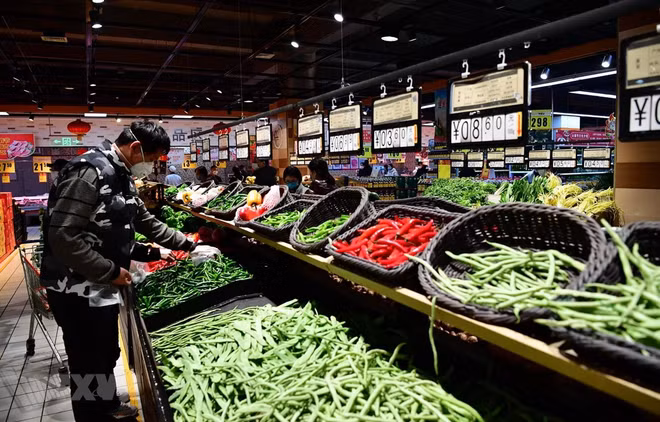 Crecen exportaciones de productos agrícolas de Vietnam a Japón ảnh 1