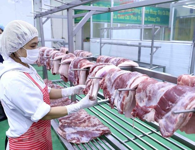 Arriban a Vietnam cerca de mil 500 toneladas de carne de cerdo de Rusia ảnh 1