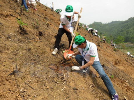 Honda – Vietnam siembra 80 hectáreas de bosque en Bac Kan ảnh 1 Honda – Vietnam siembra 80 hectáreas de bosque en Bac Kan ảnh 1
