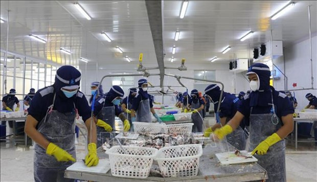 Número de nuevas empresas alcanza récord en el primer trimestre de 2024 ảnh 1 Número de nuevas empresas alcanza récord en el primer trimestre de 2024 ảnh 1