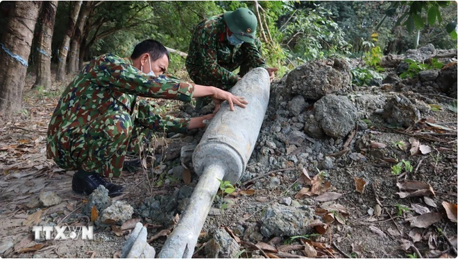 Vietnam acelera labores para superación de secuelas de bombas remanentes de guerra ảnh 1
