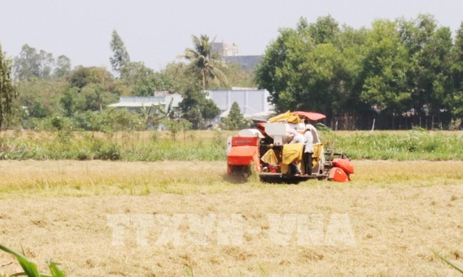 Vietnam por acelerar la mecanización de la agricultura e industria de procesamiento ảnh 1 Vietnam por acelerar la mecanización de la agricultura e industria de procesamiento ảnh 1