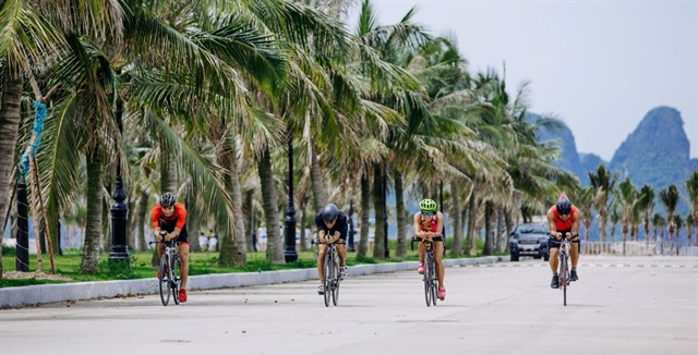 Atletas competirán en torneo de Triatlón Tuan Chau Sunset Bay en agosto en Vietnam ảnh 1 Atletas competirán en torneo de Triatlón Tuan Chau Sunset Bay en agosto en Vietnam ảnh 1