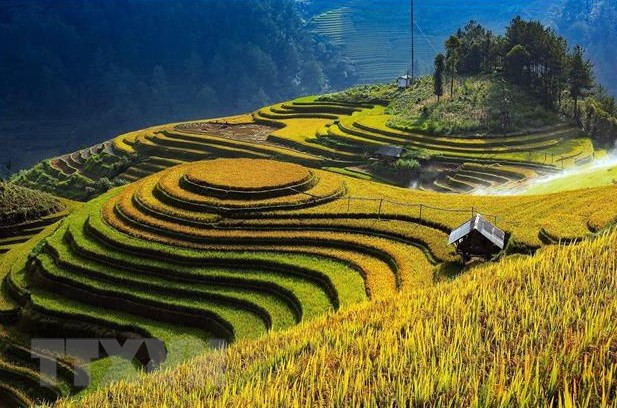 Promueve Vietnam Premio fotográfico “Heritage - Viaje patrimonial” 2020 ảnh 1 Promueve Vietnam Premio fotográfico “Heritage - Viaje patrimonial” 2020 ảnh 1