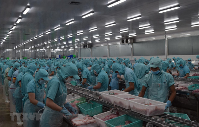 Empresas australianas optan por Vietnam para expandir sus negocios ảnh 1 Empresas australianas optan por Vietnam para expandir sus negocios ảnh 1