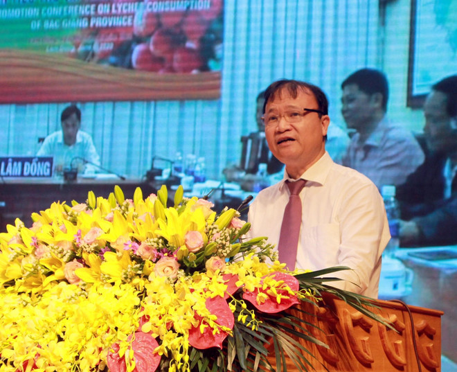 Ministerio de Industria y Comercio de Vietnam trabaja por promover ventas de lichi ảnh 1 Ministerio de Industria y Comercio de Vietnam trabaja por promover ventas de lichi ảnh 1