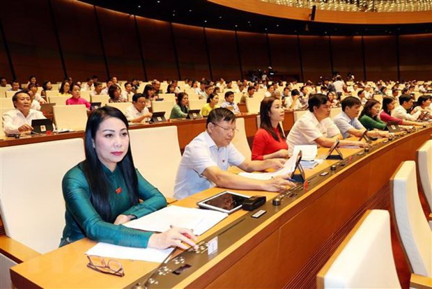 Sesiones en línea marcan hito en la historia de operación de la Asamblea Nacional de Vietnam ảnh 2 Sesiones en línea marcan hito en la historia de operación de la Asamblea Nacional de Vietnam ảnh 2