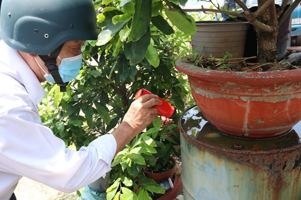 Ciudad Ho Chi Minh advierte sobre el brote de dengue en la temporada de lluvias ảnh 1 Ciudad Ho Chi Minh advierte sobre el brote de dengue en la temporada de lluvias ảnh 1