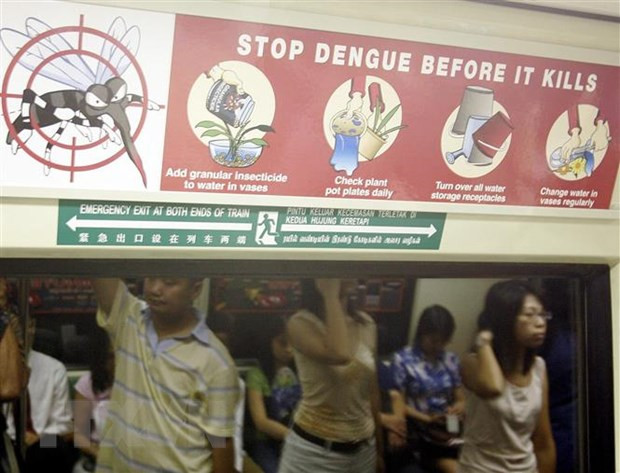 Estalla epidemia de dengue en Singapur ảnh 1 Estalla epidemia de dengue en Singapur ảnh 1