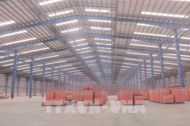 EVFTA ofrecerá oportunidades al sector logístico ảnh 1