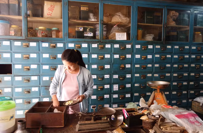 Tailandia fortalece protección intelectual para medicina tradicional ảnh 1