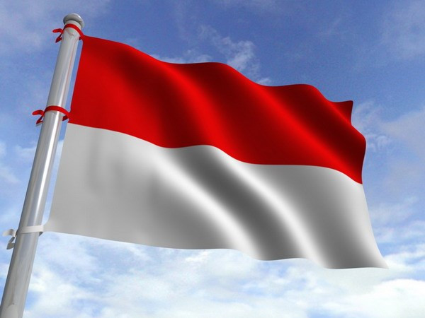 Dirigentes vietnamitas felicitan a Indonesia por Día Nacional ảnh 1
