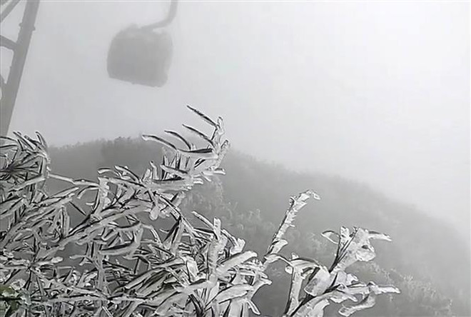 Escarcha aparece en la cima de Fansipan ảnh 1 Escarcha aparece en la cima de Fansipan ảnh 1