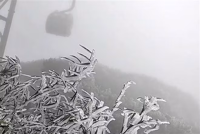 Escarcha aparece en la cima de Fansipan ảnh 1