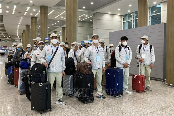 Vietnam planea enviar 90 mil trabajadores al extranjero en 2022 ảnh 1 Vietnam planea enviar 90 mil trabajadores al extranjero en 2022 ảnh 1