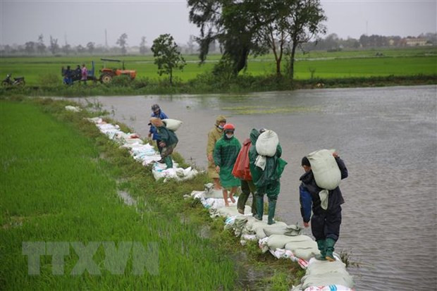 Premier vietnamita insta a superar pérdidas causadas por inundaciones ảnh 1 Premier vietnamita insta a superar pérdidas causadas por inundaciones ảnh 1