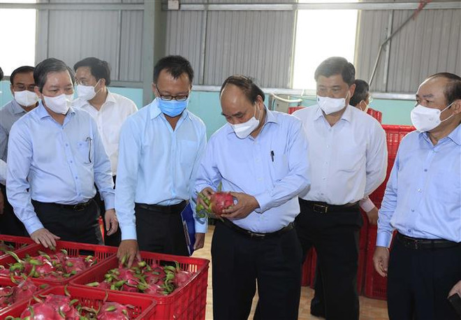 Piden movilizar la sinergia en desarrollo económico colectivo en provincia vietnamita de Tien Giang ảnh 1 Piden movilizar la sinergia en desarrollo económico colectivo en provincia vietnamita de Tien Giang ảnh 1