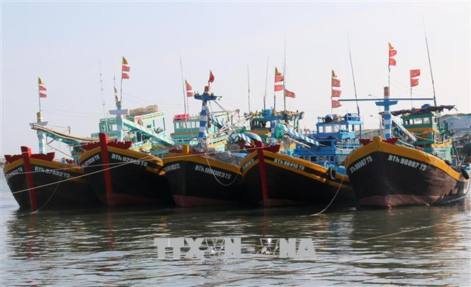 Provincia vietnamita de Binh Thuan se centra en desarrollo sostenible de la pesca ảnh 1 Provincia vietnamita de Binh Thuan se centra en desarrollo sostenible de la pesca ảnh 1