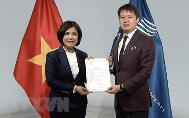 Vietnam se adhiere al Tratado de la OMPI sobre Interpretación o Ejecución y Fonogramas ảnh 1 Vietnam se adhiere al Tratado de la OMPI sobre Interpretación o Ejecución y Fonogramas ảnh 1