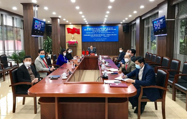 Provincias fronterizas vietnamitas fomentan cooperación agrícola con localidad china ảnh 1 Provincias fronterizas vietnamitas fomentan cooperación agrícola con localidad china ảnh 1