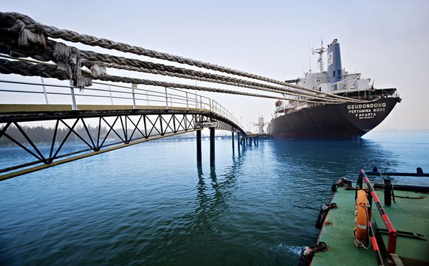 Indonesia reabre más aeropuertos y puertos marítimos internacionales ảnh 1 Indonesia reabre más aeropuertos y puertos marítimos internacionales ảnh 1