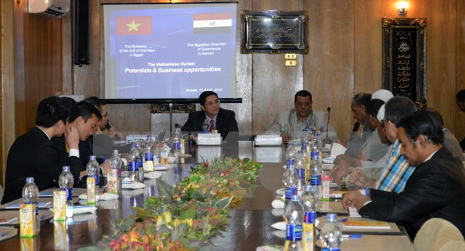 Promueven comercio e inversión entre Vietnam y Egipto ảnh 1 Promueven comercio e inversión entre Vietnam y Egipto ảnh 1