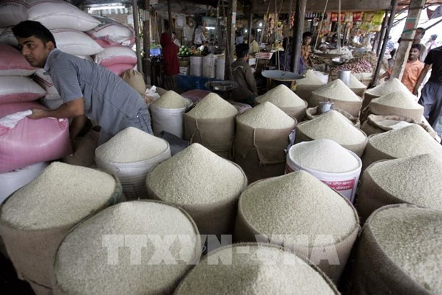 Indonesia planea establecer un fondo de emergencia para garantizar la seguridad alimentaria ảnh 1 Indonesia planea establecer un fondo de emergencia para garantizar la seguridad alimentaria ảnh 1