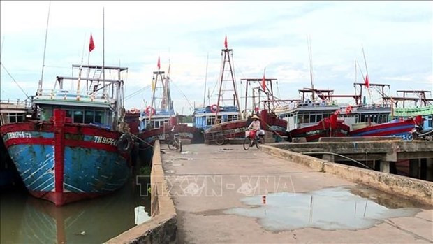 Thanh Hoa toma medidas drásticas contra barcos pesqueros ilegales ảnh 1 Thanh Hoa toma medidas drásticas contra barcos pesqueros ilegales ảnh 1