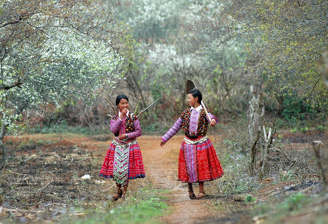 Prosperan tours de provincias norteñas de Vietnam ảnh 2