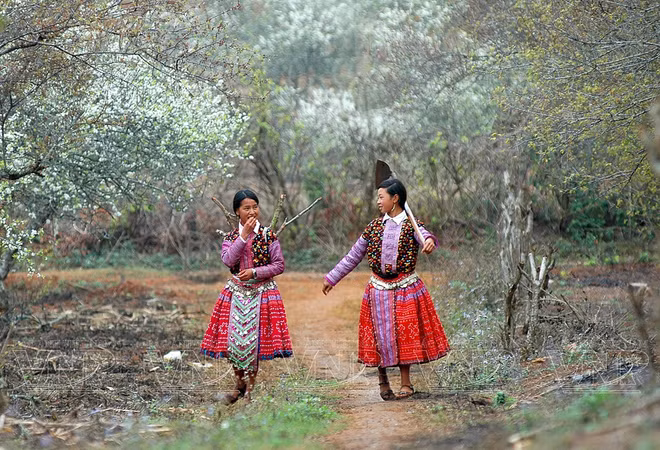Prosperan tours de provincias norteñas de Vietnam ảnh 2