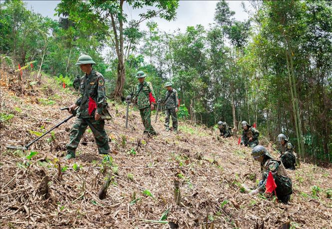 Casi 500 mil hectáreas de suelos revisados en 10 años para detectar minas y objetos explosivos ảnh 1 Casi 500 mil hectáreas de suelos revisados en 10 años para detectar minas y objetos explosivos ảnh 1