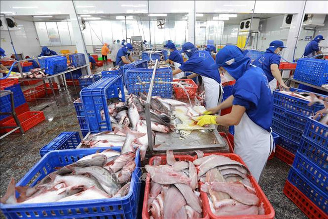 Vietnam y Nueva Zelanda disponen de gran potencial en cooperación comercial ảnh 1