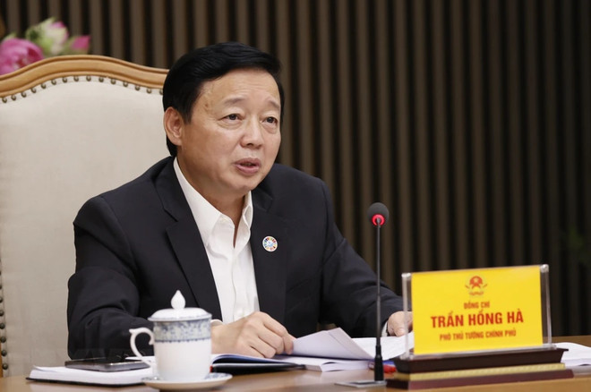 Vicepremier designado presidente del Comité de Mekong de Vietnam ảnh 1 Vicepremier designado presidente del Comité de Mekong de Vietnam ảnh 1