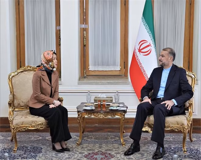 Efectúan octava consulta política Vietnam – Irán ảnh 1