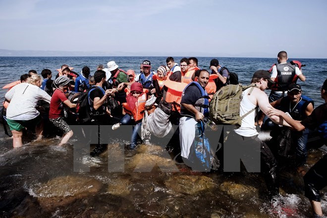 Vietnamitas residentes en República Checa frente a crisis migratoria ảnh 1 Vietnamitas residentes en República Checa frente a crisis migratoria ảnh 1