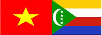  Vietnam y Comoras establecen relaciones diplomáticas ảnh 1