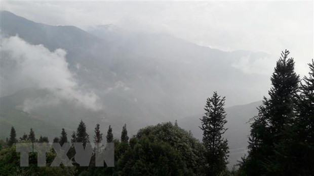 “Caza de nubes” en el norte de Vietnam: experiencia inolvidable para turistas ảnh 1