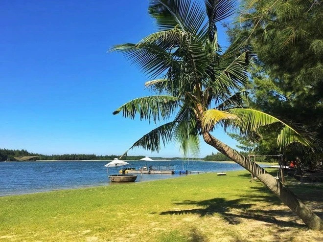 Turismo de mar e islas: fuerza hacia turismo verde en Quang Nam ảnh 2 Turismo de mar e islas: fuerza hacia turismo verde en Quang Nam ảnh 2