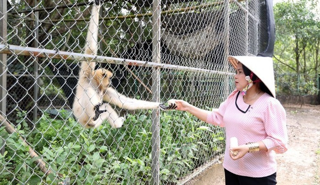 Desarrollan productos para atraer turistas al Parque Nacional U Minh Thuong ảnh 2 Desarrollan productos para atraer turistas al Parque Nacional U Minh Thuong ảnh 2