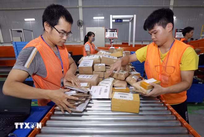 Plataformas multinacionales de comercio electrónico aumentan presencia en Vietnam ảnh 1